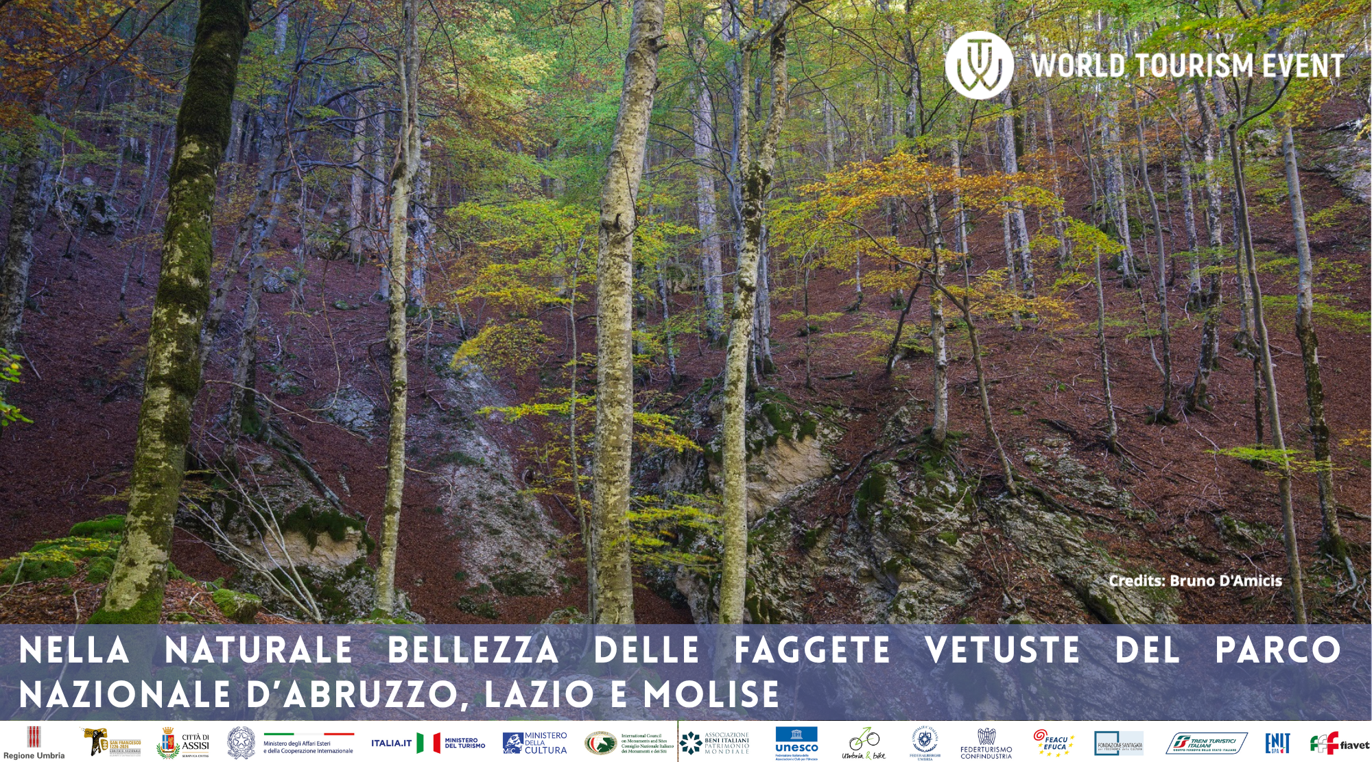 Nella naturale bellezza delle faggete vetuste del Parco nazionale d’Abruzzo, Lazio e Molise
